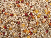Vanrobaeys (Nr. 35) Top Energy - Onlinedierenwereld