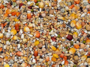 Vanrobaeys (Nr. 37) Junior vlucht exclusief - Onlinedierenwereld