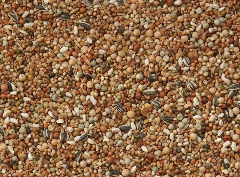 Vanrobaeys (Nr. 52) Sierduiven zonder maïs - Onlinedierenwereld