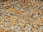Vanrobaeys (Nr. 523) Platteeuw Speciaal - Onlinedierenwereld
