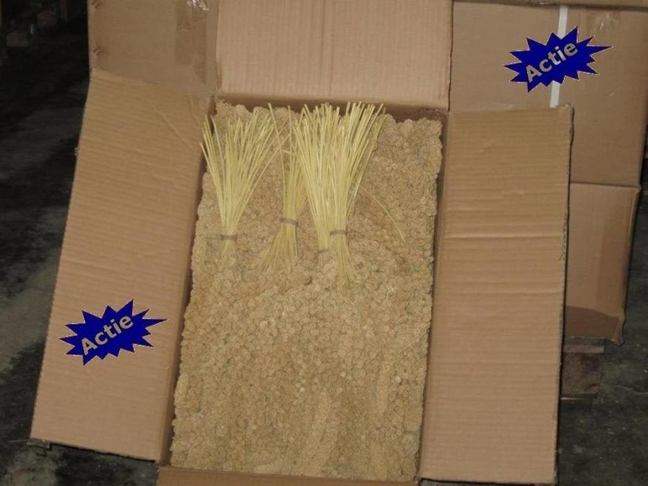 Versele-Laga Chinese Trosgierst Geel (doos 15 kg) - Onlinedierenwereld