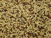 Zangzaad excellent - Onlinedierenwereld