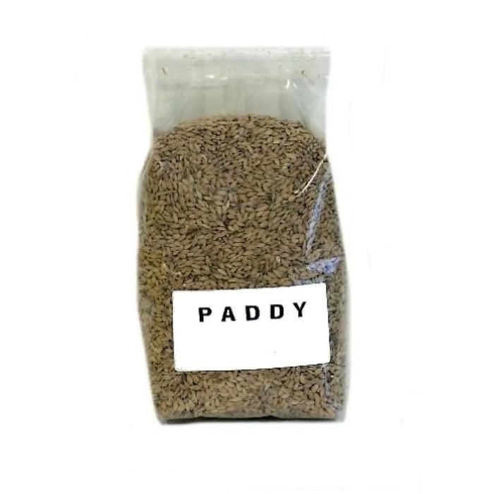 Paddy - Onlinedierenwereld